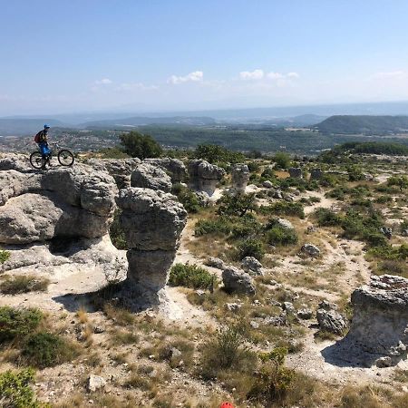 Rêve de Provence Villa avec jardin et piscine Forcalquier Exterior foto